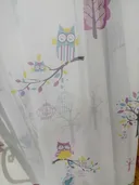 Мультицвет