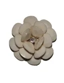 Бежевый